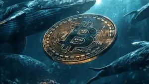 Bitcoin Whales Accumulate 45,000 BTC but Price Struggles Below $106K