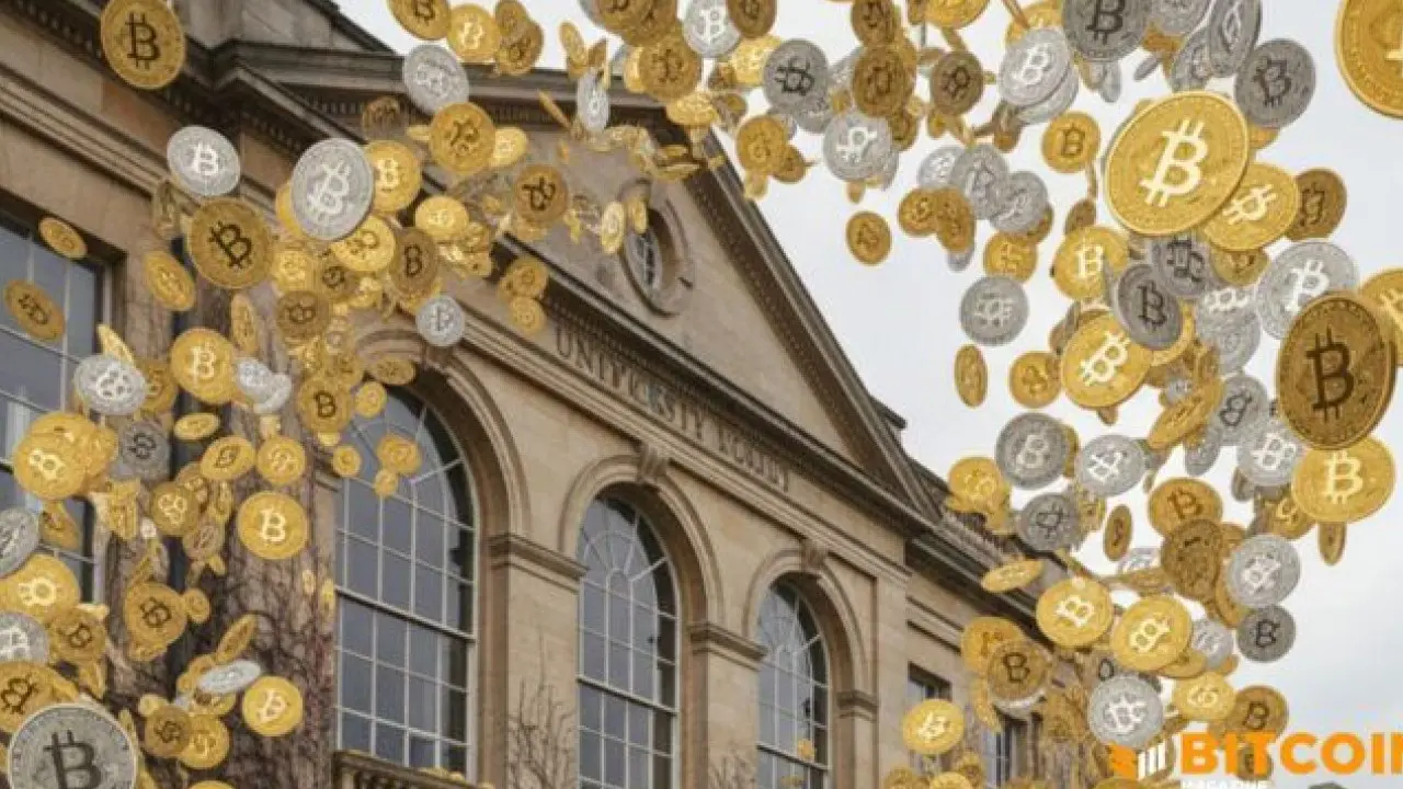 Hesperides University Launches First Global Online Master in Bitcoin Hesperides University Launches First Global Online Master in Bitcoin